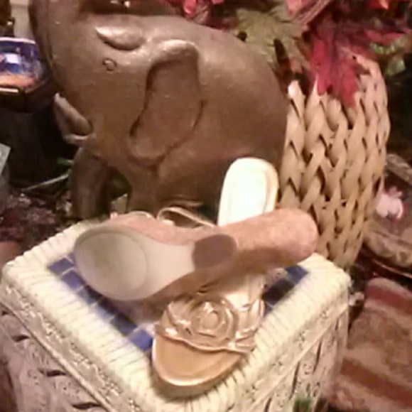 Fioni - Picture 4 of 4